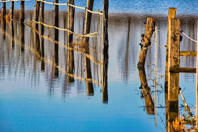 water, damage, flood, leak, moisture, mold