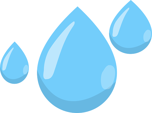 water, damage, flood, leak, moisture, mold