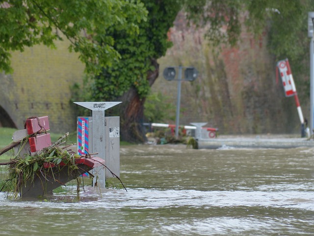 water, damage, flood, leak, moisture, mold