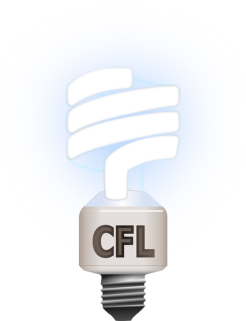water heater, energy, tankless, efficiency, selection, capacity
