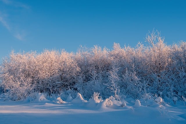 weather, plumbing, rain, frost, cold, humidity