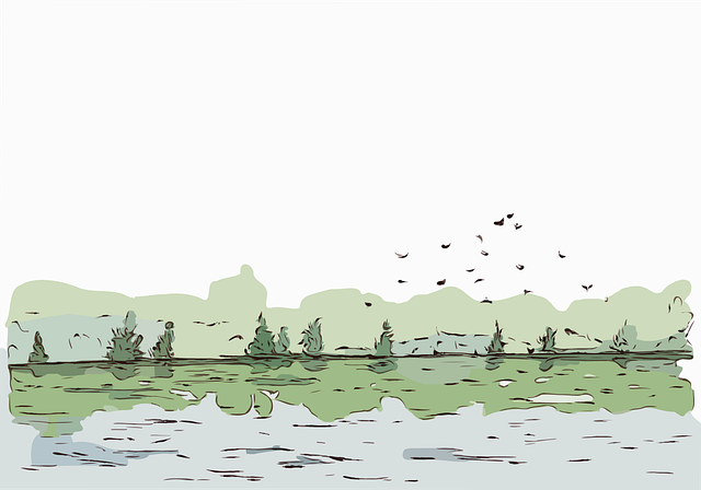 Willamette, fishing, river, trout, nature, conservation