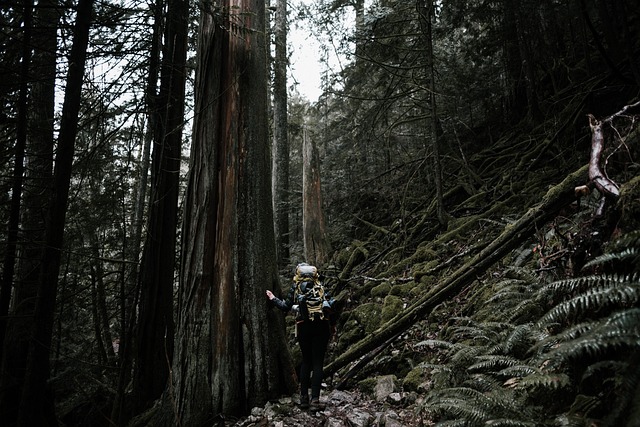 Adventure, Hiking, Climbing, Rafting, Biking, Outdoors