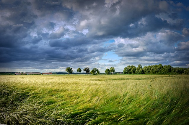 agriculture