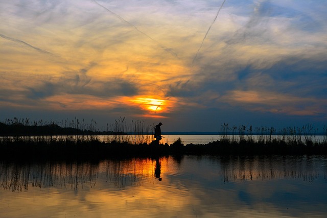 Angler