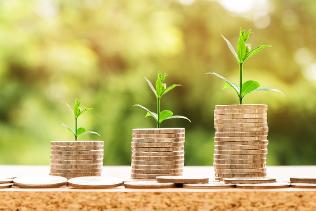 application, process, finance, business, steps, guide