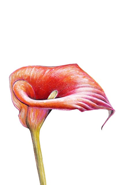 art, gallery, paintings, sculpture, exhibition, creativity