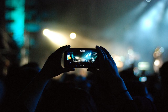 art, music, galleries, concerts, festivals, workshops