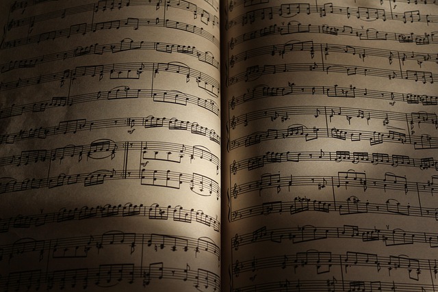 art, music, galleries, concerts, festivals, workshops