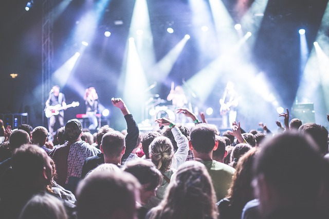 art, music, galleries, concerts, festivals, workshops
