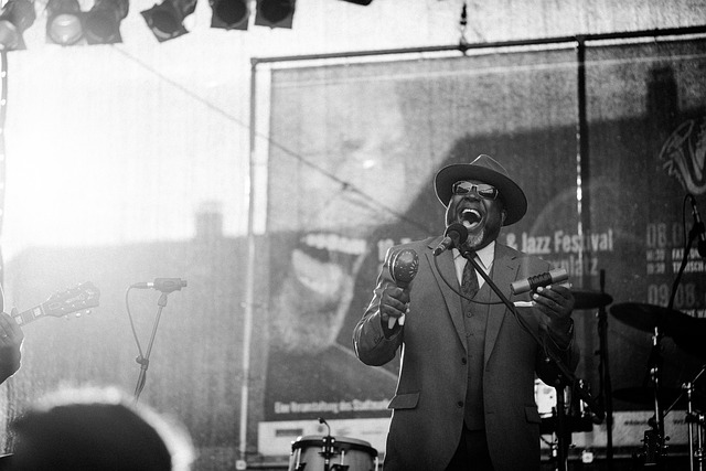 art, music, galleries, concerts, festivals, workshops