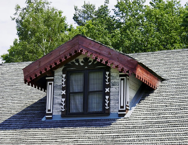 attic, mold, roof, insulation, moisture, leak