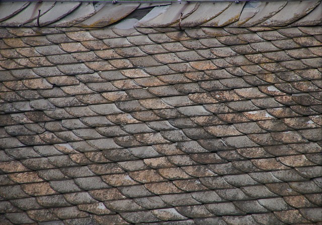 attic, mold, roof, insulation, moisture, leak