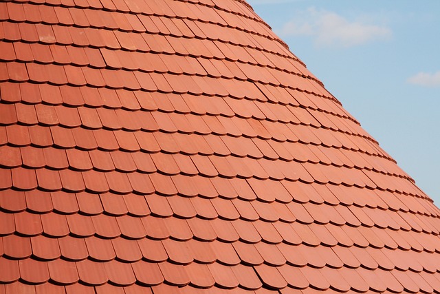 attic-mold-roof-insulation-moisture-leak-640x480-78428687.jpeg