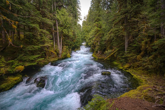 attorney, resources, Oregon, legal, support, guidance