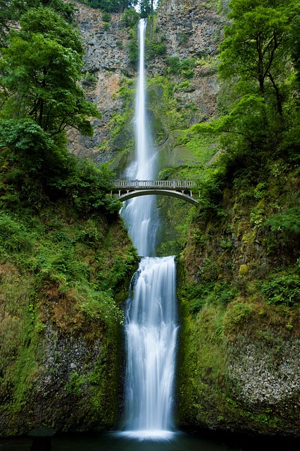 attorney, working, Oregon, child, collaboration, partnership