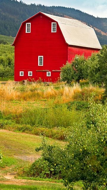 avoidance, probate, Oregon, estate, planning, bypass