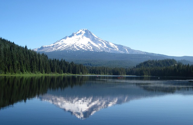 avoidance, probate, Oregon, estate, planning, bypass