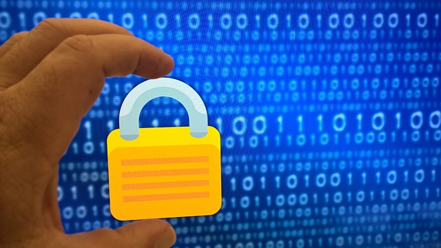 background check, reliability, service comparison, privacy, accuracy, compliance