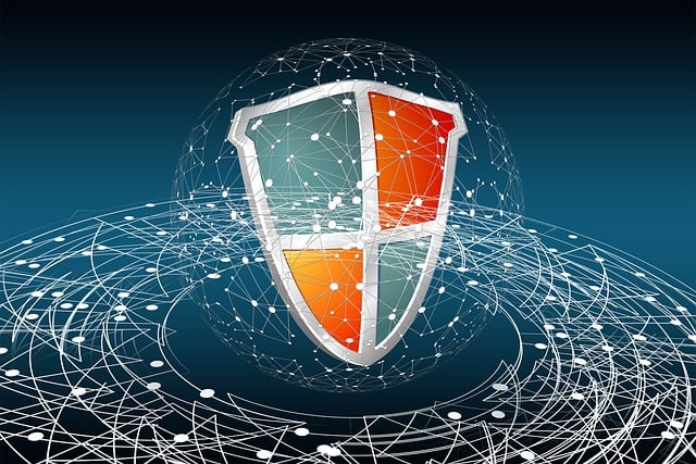 background check, reliability, service comparison, privacy, accuracy, compliance