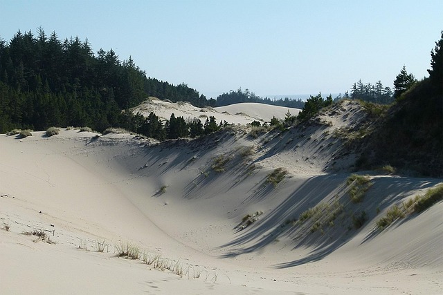 bail-pretrial-release-oregon-legal-proce-640x480-3005357.jpeg