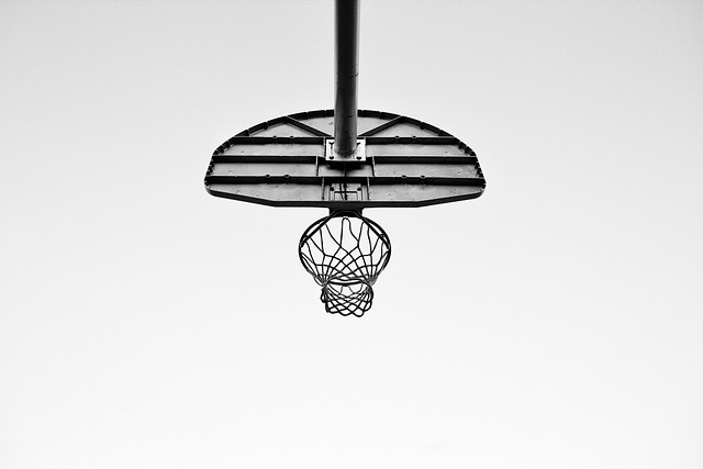 basketball, Oregon, Oregon Ducks, sports, team, court