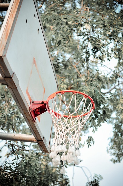 basketball, Oregon, Oregon Ducks, sports, team, court
