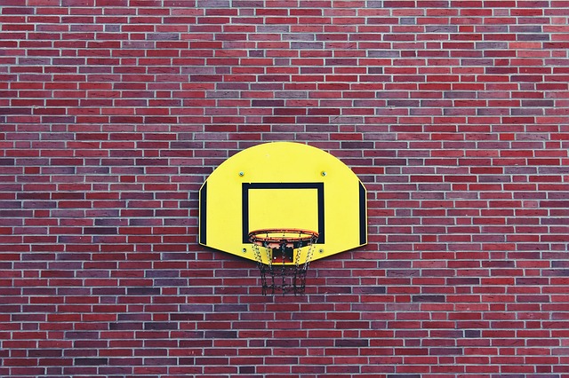 basketball, women, Oregon Ducks, Oregon, team, hoop