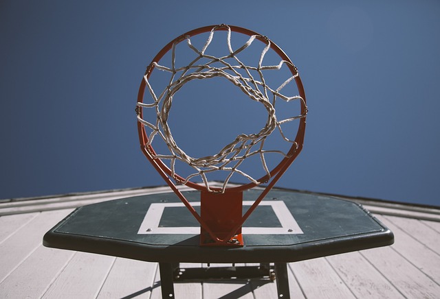 basketball, women, Oregon Ducks, Oregon, team, hoop