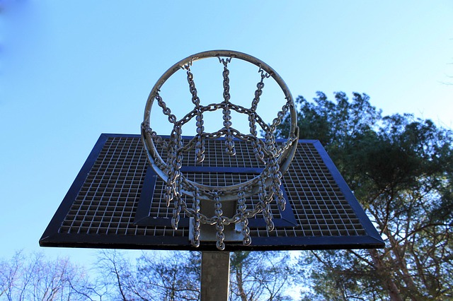 basketball, women, Oregon Ducks, Oregon, team, hoop