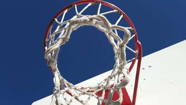 basketball, women, Oregon Ducks, Oregon, team, hoop