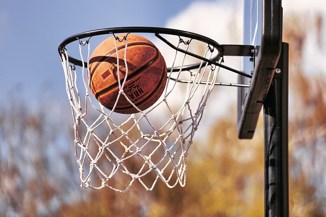 basketball, women, Oregon Ducks, Oregon, team, hoop