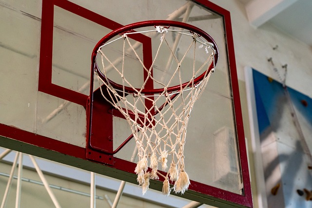 basketball, women, Oregon Ducks, Oregon, team, hoop
