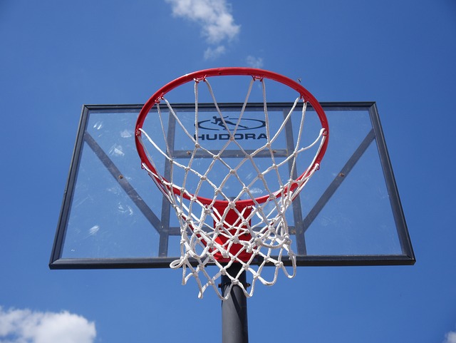 basketball, women, Oregon Ducks, Oregon, team, hoop
