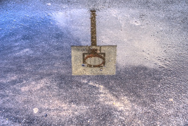 basketball, women, Oregon Ducks, Oregon, team, hoop