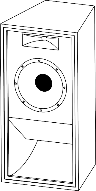 bass