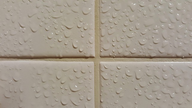 bathroom, shower, tile, moisture, grout, cleaning