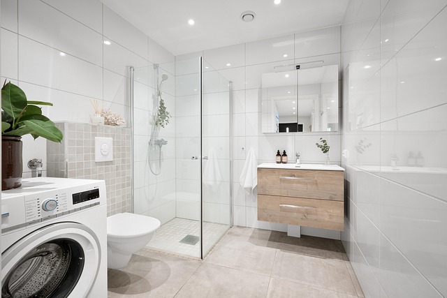 Vanquish Shower Mold: Ventilation & Maintenance Strategies for Small Spaces
