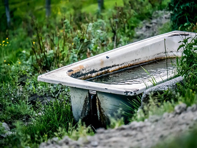 bathtub
