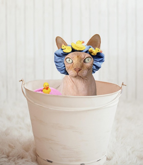 bathtub