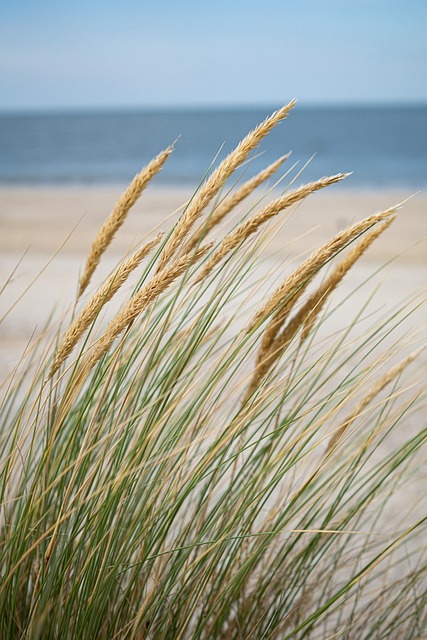 beach, hidden, secluded, coast, sand, tranquility