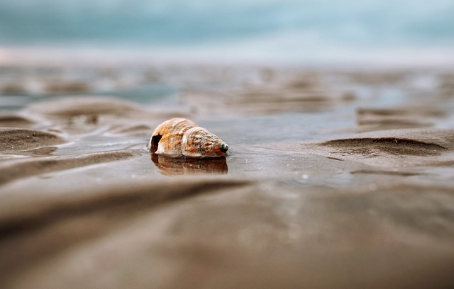 beach, hidden, secluded, coast, sand, tranquility