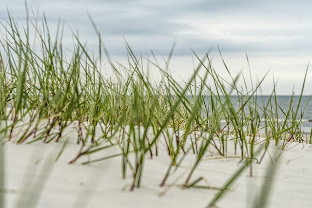 beach, hidden, secluded, coast, sand, tranquility