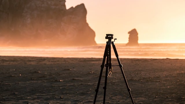Unwind on Oregon’s Coast: Top Florence Beachcombing Spots