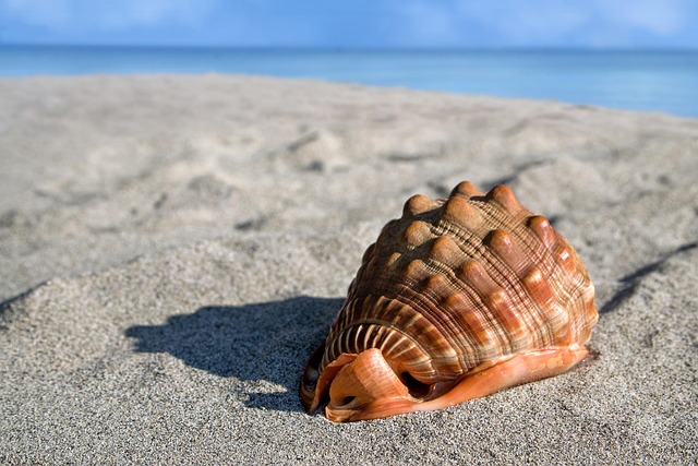 beach, hidden, secluded, coast, sand, tranquility