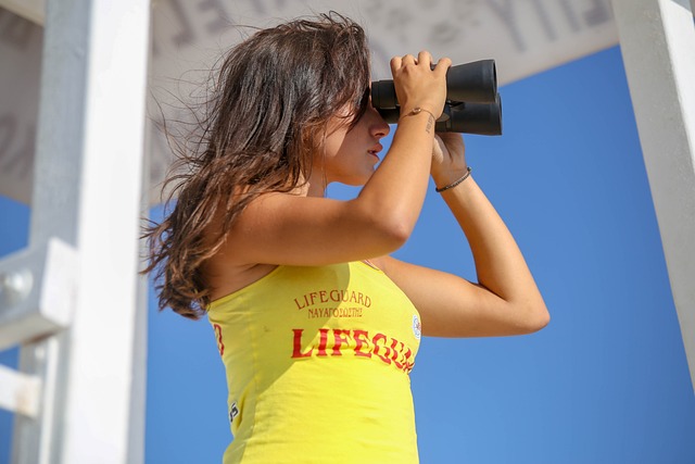 birds, nature, binoculars, wildlife, observation, outdoors