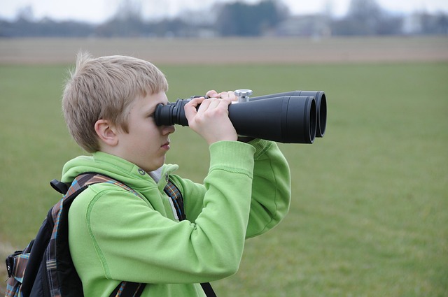 birds, nature, binoculars, wildlife, observation, outdoors