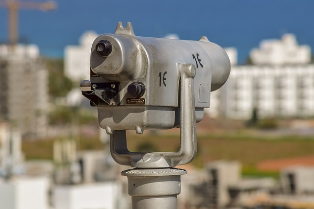 birds, nature, binoculars, wildlife, observation, outdoors
