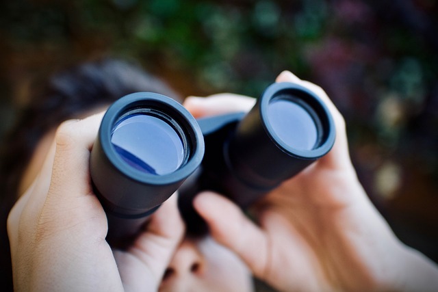 birds, nature, binoculars, wildlife, observation, outdoors