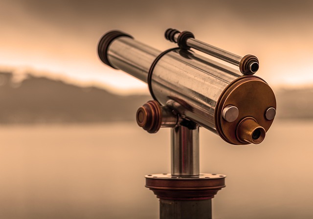 birds, nature, binoculars, wildlife, observation, outdoors
